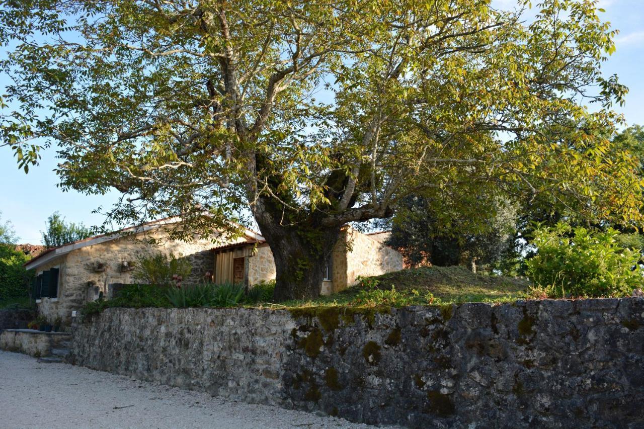Casa Da Pedra Villa Ancião Dış mekan fotoğraf