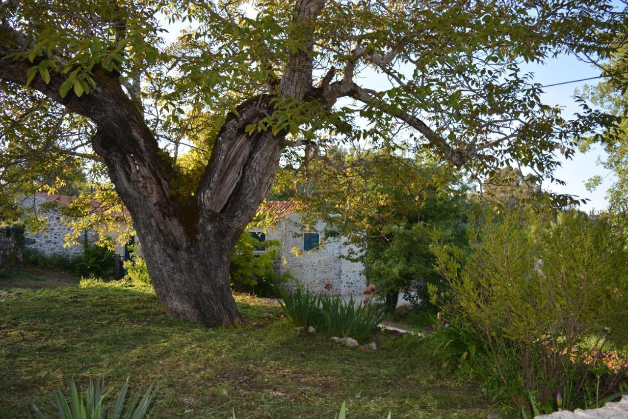 Casa Da Pedra Villa Ancião Dış mekan fotoğraf